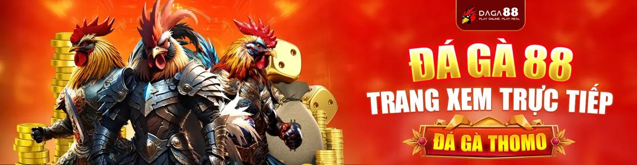 Đá Gà Trực Tuyến VNBET77 Link Mới